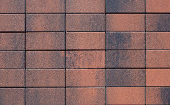 Плитка тротуарная Прямоугольник (Ла-Линия) А.2.П.4 Листопад гладкий Клинкер 200*100*40 мм